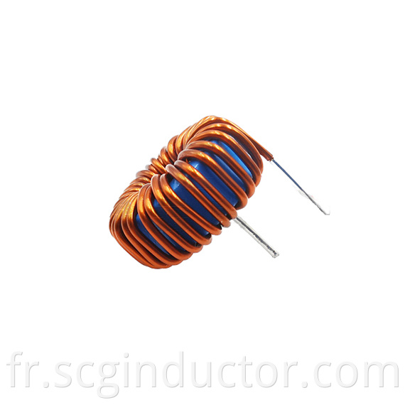 Display magnetic ring inductor